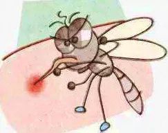 爱卫会除四害技术指导,官方支招教你如何除四害