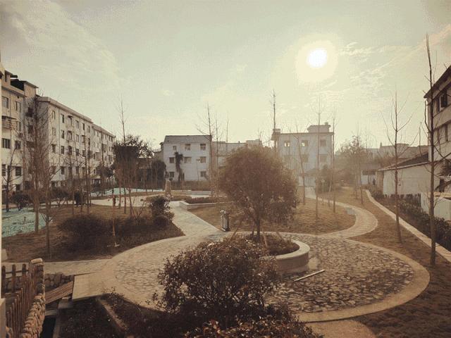 江山的经济发展情况,江山的经济在全国算好吗