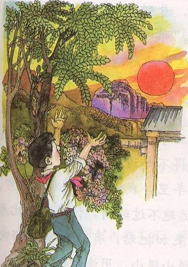 台湾作家林清玄的照片大全,怀念台湾作家林清玄先生