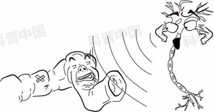 人一紧张就想尿是什么原因,一紧张就想拉大便怎么回事