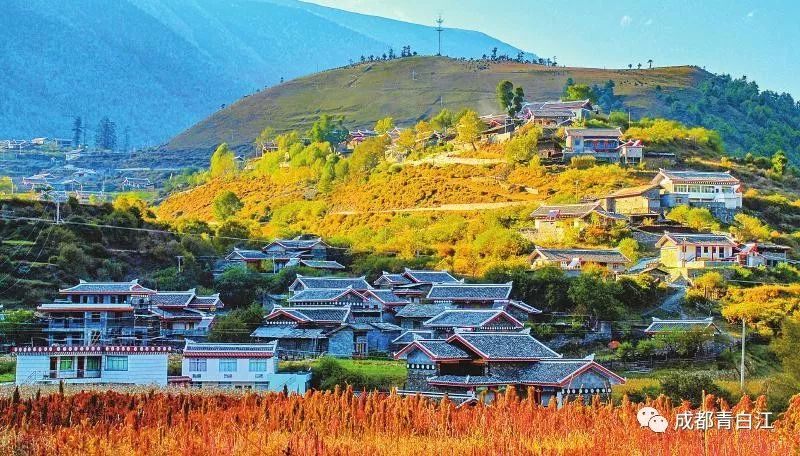 青白江的小伙伴们看过来！携手甘孜九龙，乐购别样年货！