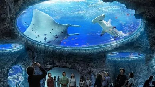 南宁机场开通新航线,南宁机场恢复至香港定期航线航班