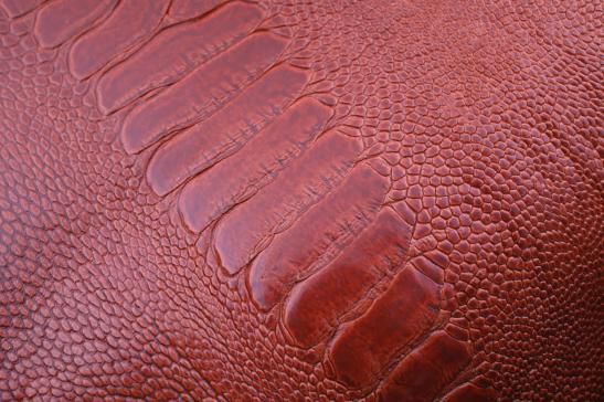 今天请允许我“皮”一下