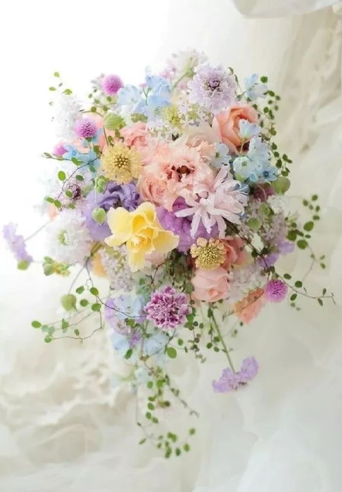 神奇的中文十人有九人读错,神奇的中文10人读9人读错