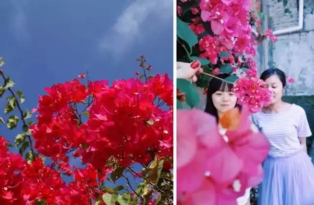 火速收藏!冬*你日**想要的阳光、骑行、美食美景都在这儿~