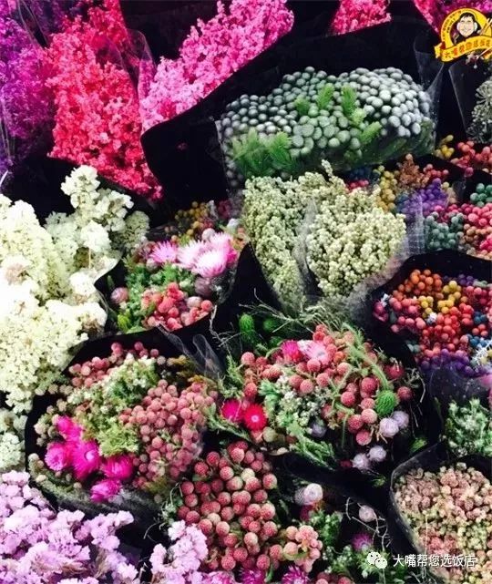 大连免费赏花好去处,逛遍大连