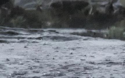 再上2天班,常州人集体放假!但这8个坏消息保证虐哭你……