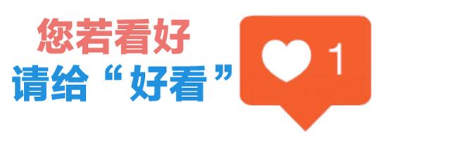 八闽骄傲！福州三中钟子谦以总分第一战绩入选信息奥赛国家队……