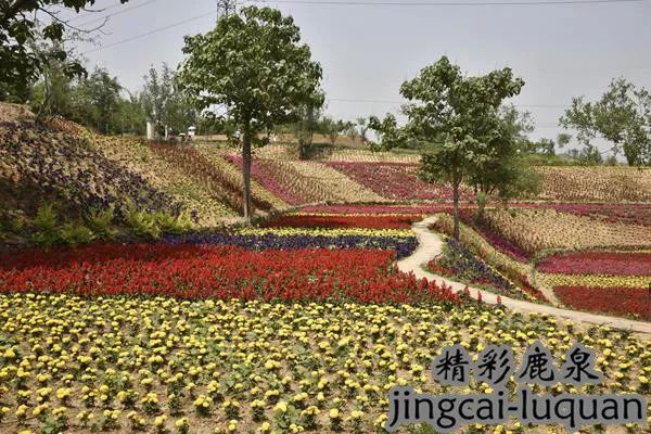 2018鹿泉的“政府帐本”来了！