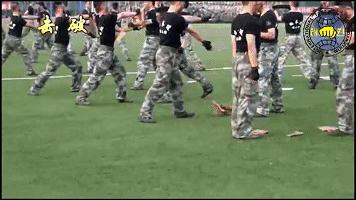 军队搏击视频教学,帅气威武的教官