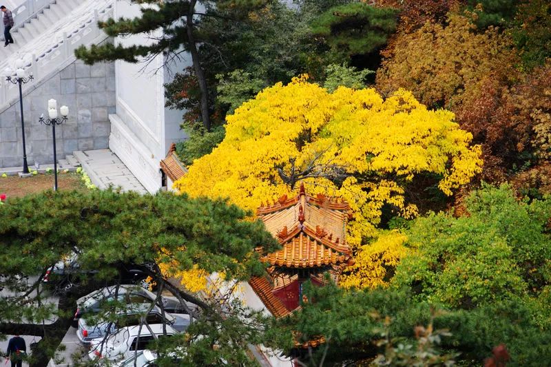 集五福沾福气什么都没沾到,集五福却没有抽福卡的机会怎么办