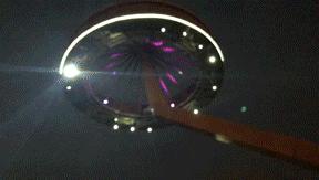 少女心炸裂！松江『蝴蝶节』来啦！（内有女生专属超多福利）