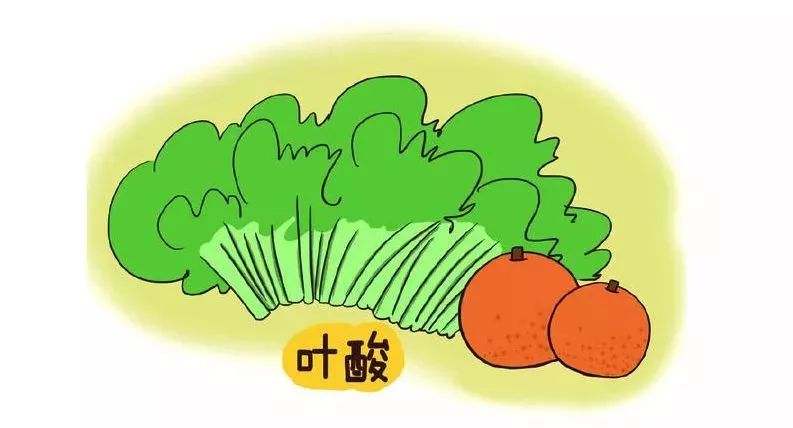 备孕补叶酸食谱,备孕营养忠告