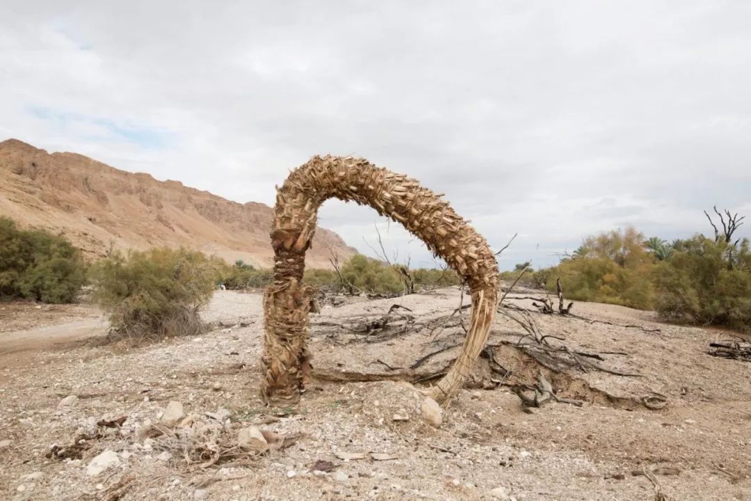 再不去看看死海，就可能永远也看不见了