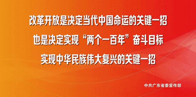 灯湖三小宣传片,灯湖三小新规划图