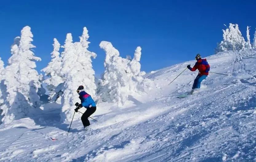 收藏哈尔滨,哈尔滨市道里区收藏东西的实体店