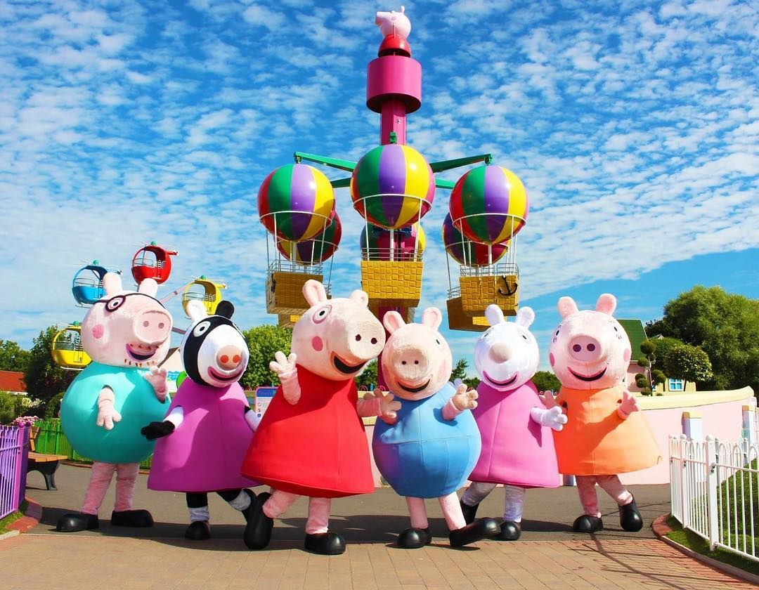 猪系列冷知识,猪的100个冷知识