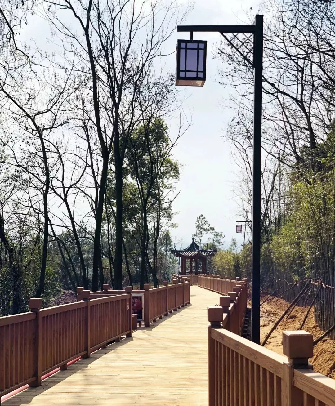 赣州最好玩的公园不要门票,离赣州最近的森林公园还有多远