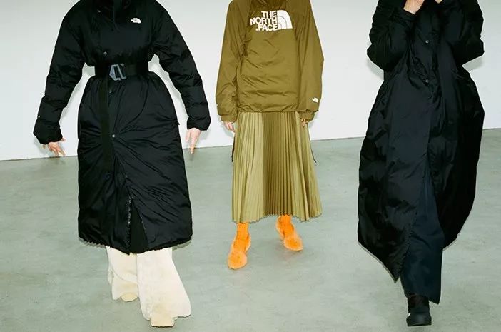 thenorthface拆解,thenorthface最高端系列