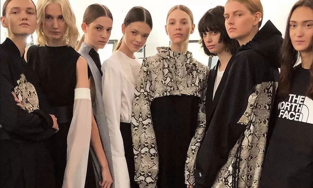 thenorthface拆解,thenorthface最高端系列