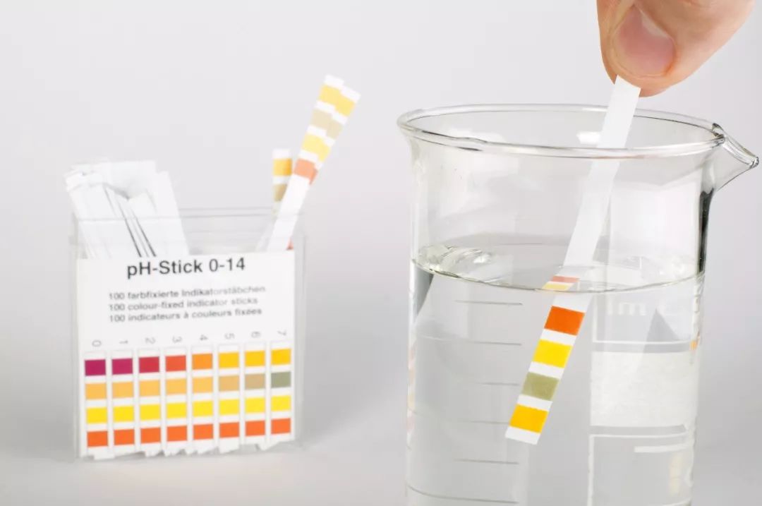 备孕哪些东西不能吃,备孕怀孕期间什么东西不能吃