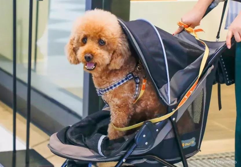 情人节购物活动,情人节消费清单800元