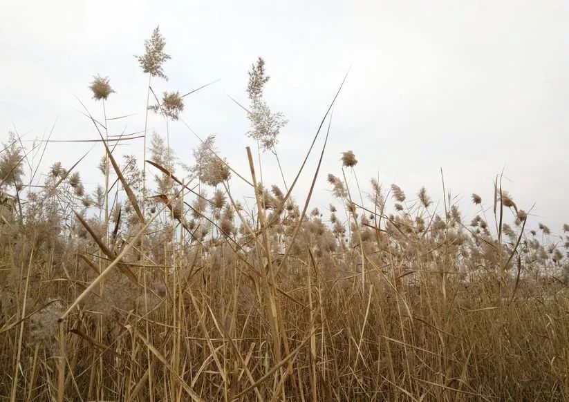 北京好玩免费的景点排名榜,北京周边免费景点自驾游
