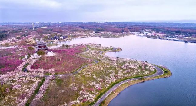 假期没玩够文旅,春节假期没有好好享受