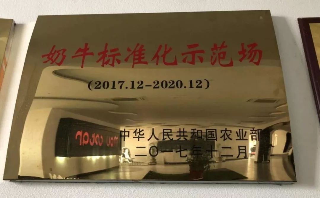 奶粉和牛奶怎么选,牛奶选什么比较好