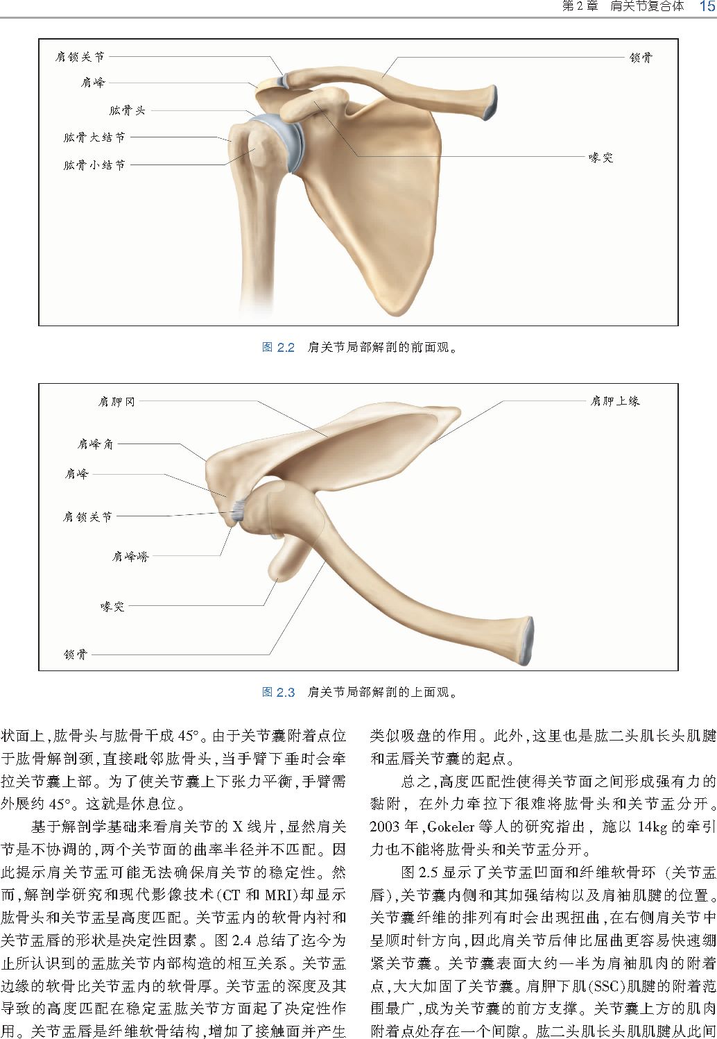 好书推荐｜《触诊技术》——李哲人体科学团队——开年首发