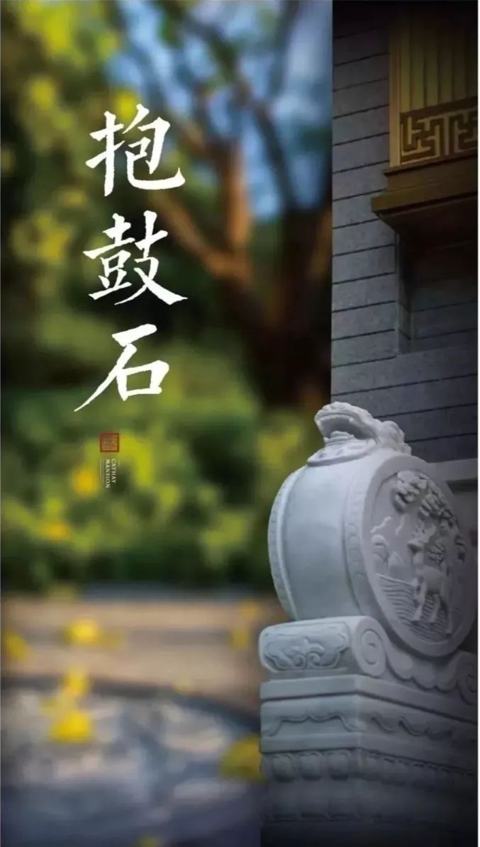 “宗师级”泰禾“产品特色”全面爆发是一种怎样的体验?