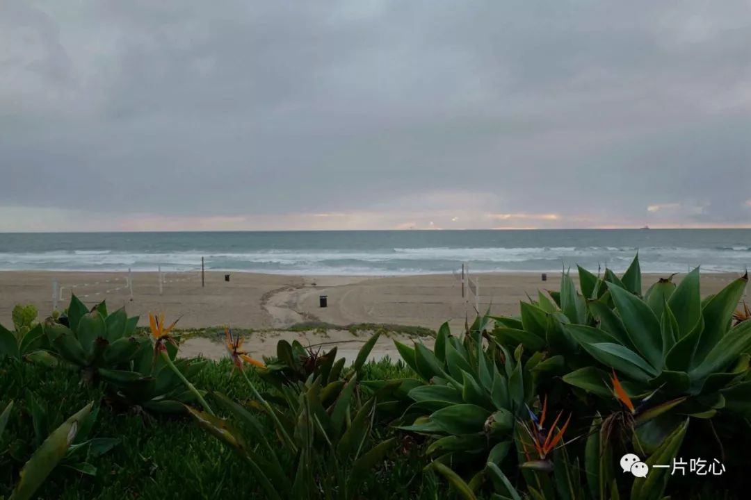 两天两夜飞到世界尽头找自己永恒的情人