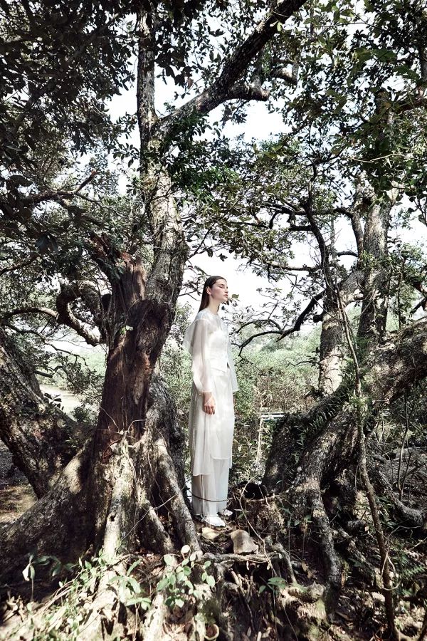 创牌之苦？设计的初心与梦想