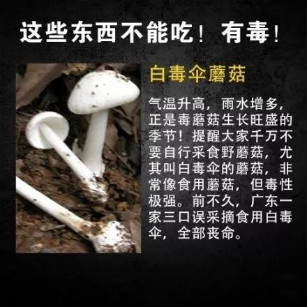 甘蔗里面发红是怎么回事,芯芯发红的甘蔗要全部扔掉吗