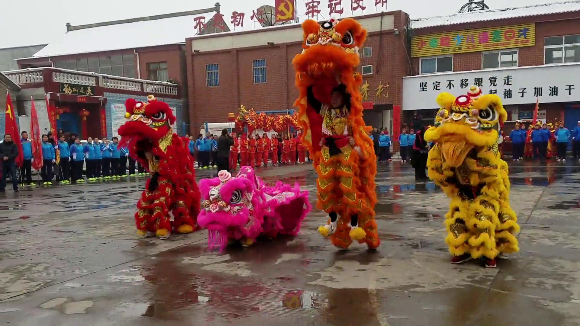 焦作体育大拜年武林高手献技舞龙舞狮欢腾