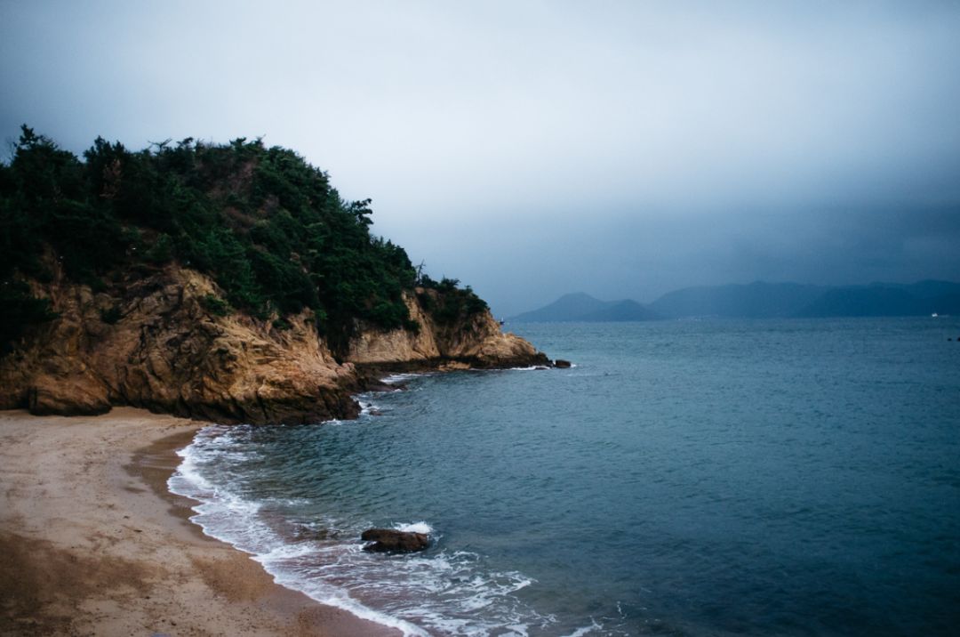 上海赏枫小众景点,小众赏枫