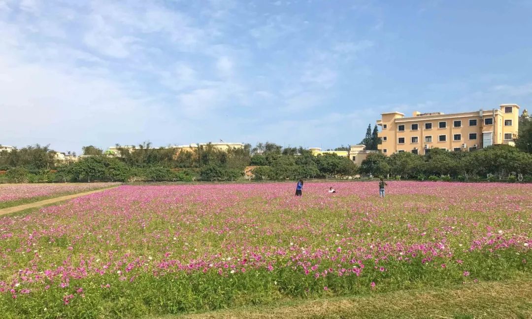 去日本从哪里出发最便宜,去日本从哪出发最便宜