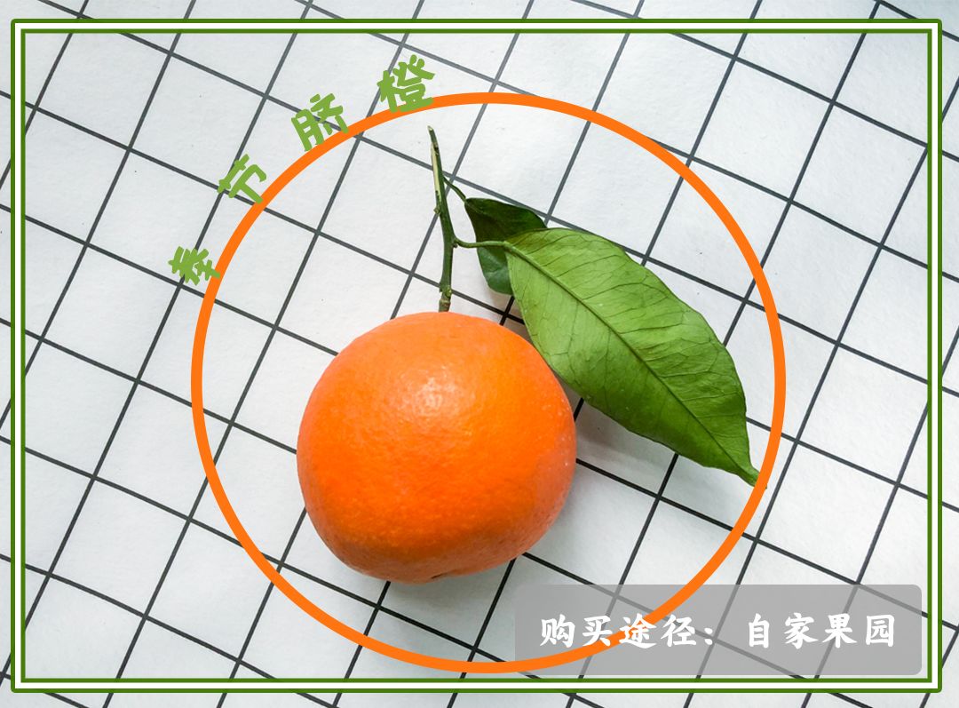 回老家带什么特产回去重庆,想回家带重庆特产