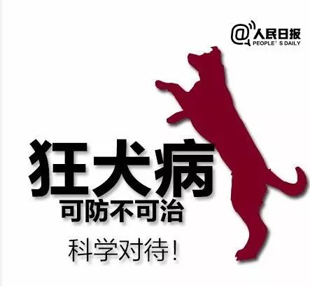 跟狗狗亲密接触会不会得病,狗狗互相玩耍会感染狂犬病吗