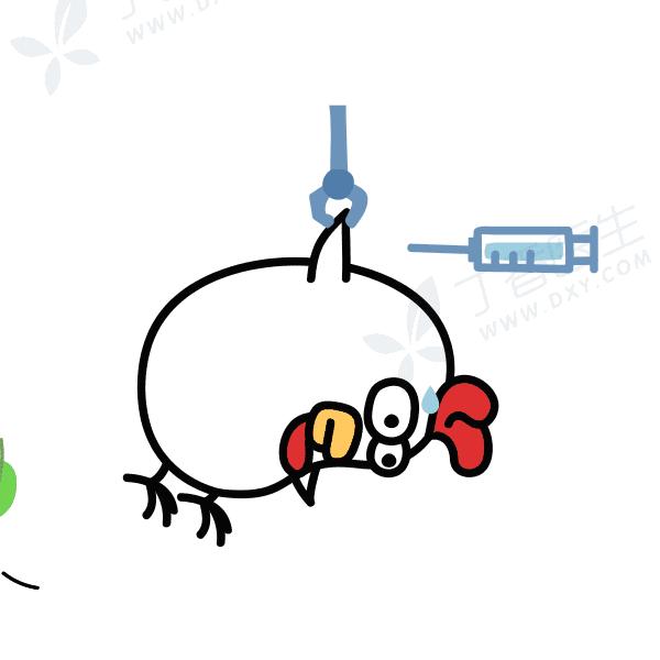 鸡头比*霜砒**还毒？鸡屁股全是毒素？正确吃鸡应该是......