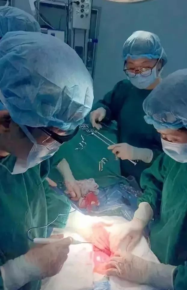 「动态」市中心妇产科医院多学科联合救治妊娠期宫颈癌患者