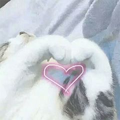 健康饮食需要注意什么食品安全,健康吃饭的5个坏习惯