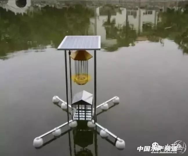 用灯光养树可以吗,用灯光可以养植物吗