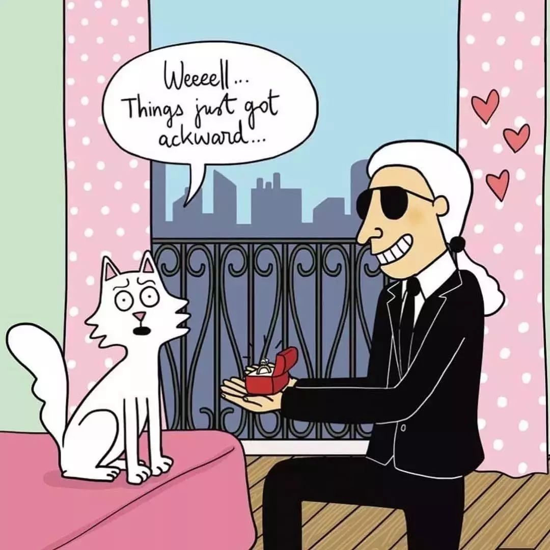 老佛爷的所有家产最后留给了猫 (老佛爷的猫死后谁来继承他的遗产)