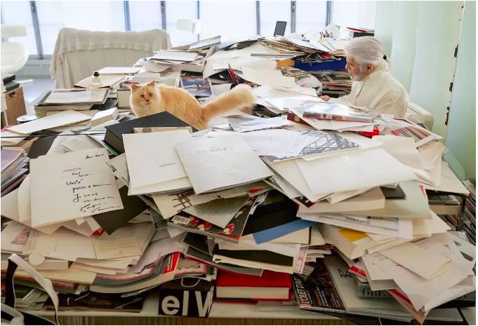 老佛爷的所有家产最后留给了猫 (老佛爷的猫死后谁来继承他的遗产)