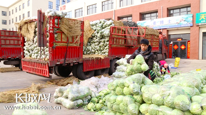 河北省新发地未来怎么规划,新发地市场里的商机