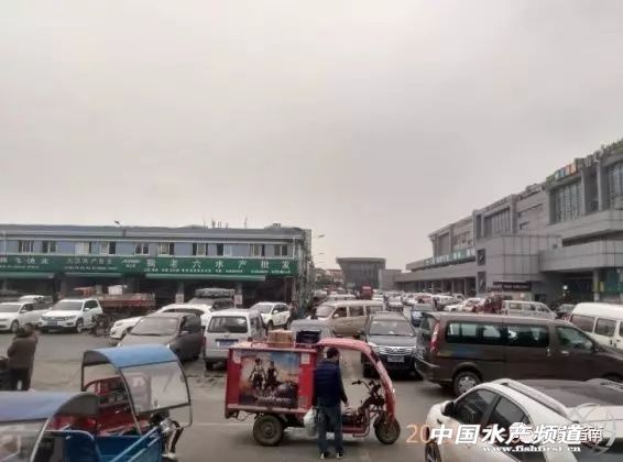 中国水产品市场情况分析,2023水产品批发市场分析报告