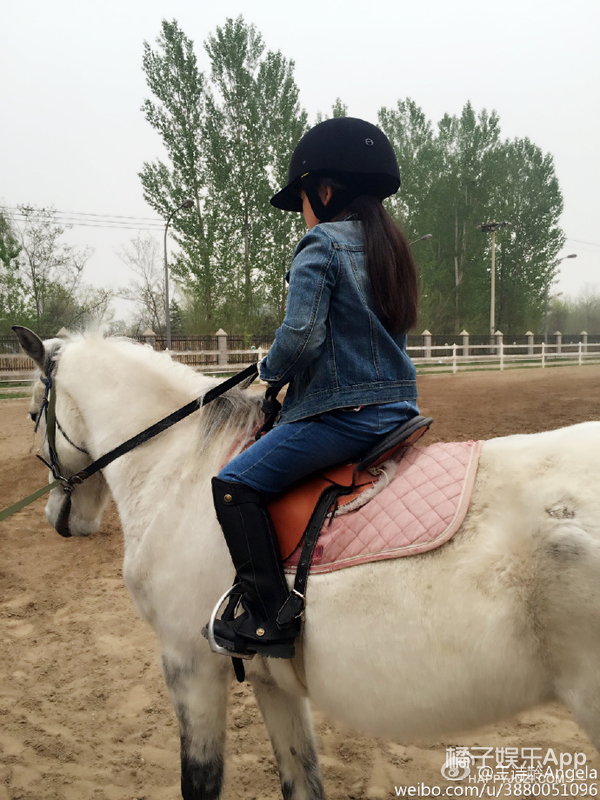 王岳伦王诗龄手链,王诗龄的两条手链值多少钱