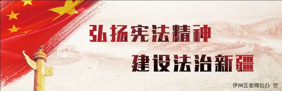 各地方酸奶测评,新鲜酸奶推荐新疆