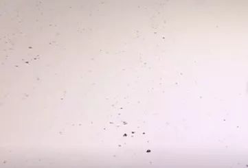 回南天防潮技巧,回南天防潮大比拼